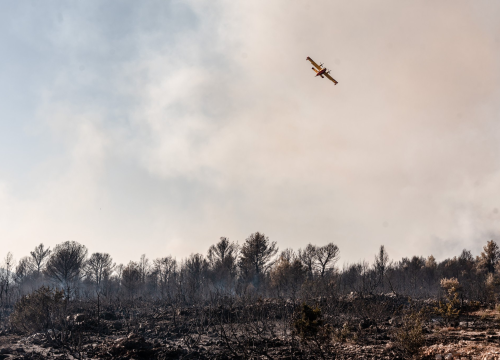Fotografija 20 - U tijeku sanacija požarišta u Vrpolju: Na terenu 60 vatrogasaca i 21 vozilo