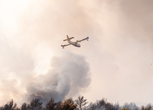 Fotografija 23 - U tijeku sanacija požarišta u Vrpolju: Na terenu 60 vatrogasaca i 21 vozilo