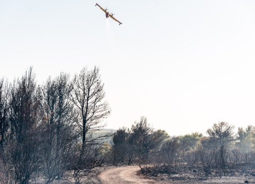 U tijeku sanacija požarišta u Vrpolju: Na terenu 60 vatrogasaca i 21 vozilo
