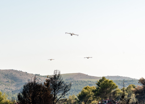 Fotografija 25 - U tijeku sanacija požarišta u Vrpolju: Na terenu 60 vatrogasaca i 21 vozilo