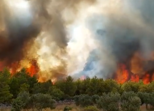 Fotografija 5 - U tijeku sanacija požarišta u Vrpolju: Na terenu 60 vatrogasaca i 21 vozilo