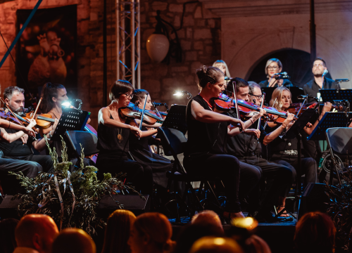 Fotografija 8 - Maestro Šarac: ‘Ne volim publicitet, to je za pjevače, glumce ili političare’