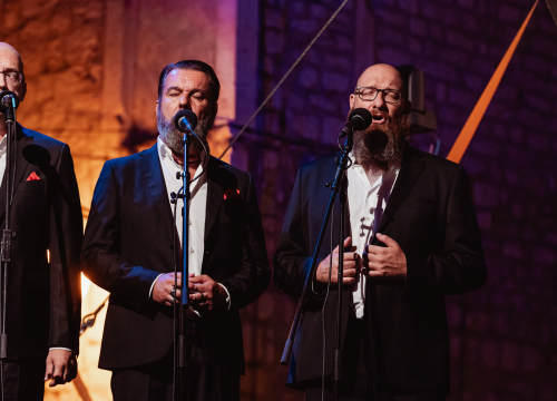 Fotografija 22 - Maestro Šarac: ‘Ne volim publicitet, to je za pjevače, glumce ili političare’