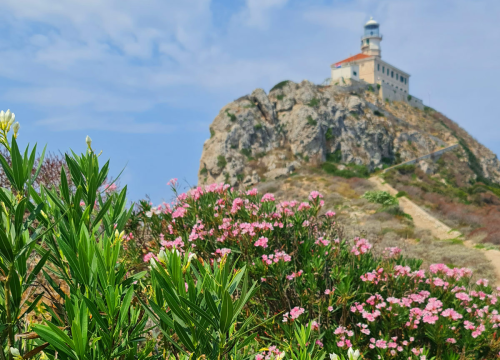 Fotografija 10 - Bili smo na Palagruži, Lastovu, Proizdu i Biševu: Plaže na kopnu su ok, ali ništa se ne može usporediti s jedrenjem oko dalmatinskih otoka