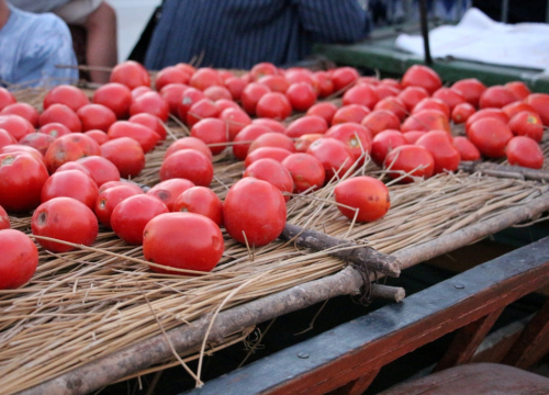 Šaša i pulenta othranile su generacije Vodičana, a ovo tradicionalno jelo možete probati na fešti