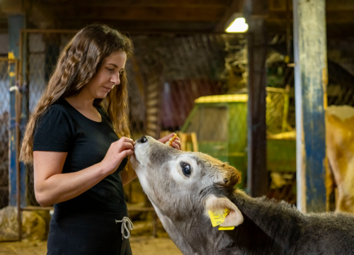 Fotografija 15 - Upisi bez državne mature na stručne studije Veleučilišta „Marko Marulić“ u Kninu na trećem upisnom roku