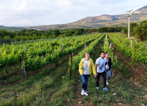 Fotografija 17 - Upisi bez državne mature na stručne studije Veleučilišta „Marko Marulić“ u Kninu na trećem upisnom roku