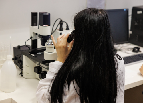 Fotografija 21 - Upisi bez državne mature na stručne studije Veleučilišta „Marko Marulić“ u Kninu na trećem upisnom roku