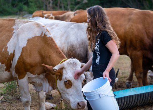 Fotografija 27 - Upisi bez državne mature na stručne studije Veleučilišta „Marko Marulić“ u Kninu na trećem upisnom roku