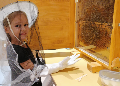 Fotografija 5 - Provjerite što vas čeka u Društvenom centru Grada Skradina tijekom rujna!