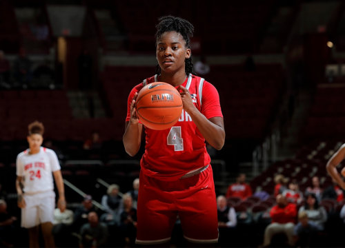 ŽKK Šibenik doveo Amerikanku Johnson u svoje redove