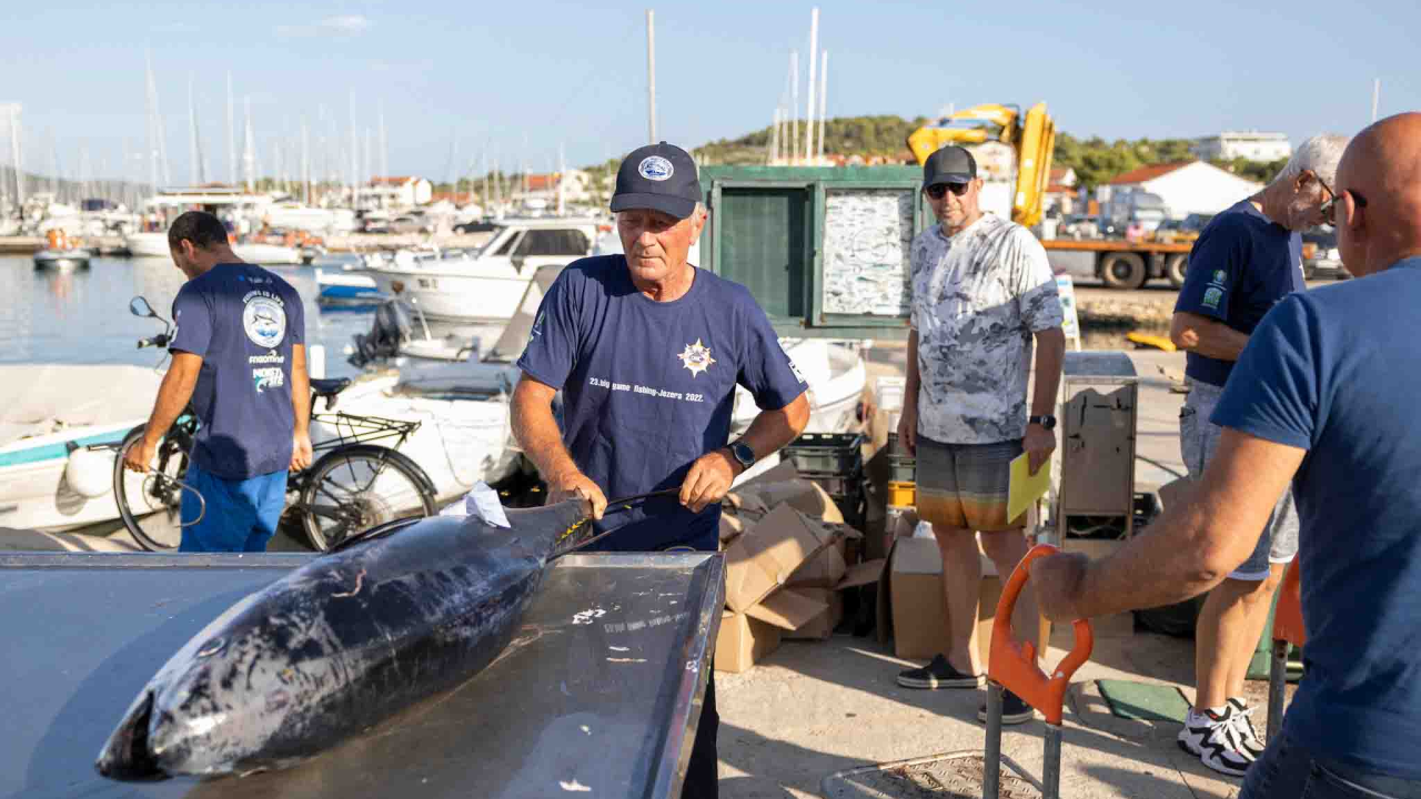 Posjetite besplatnu radionicu o zaštiti ribe i očuvanju ribljeg fonda u Jezerima!