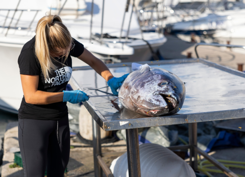 Fotografija 13 - Posjetite besplatnu radionicu o zaštiti ribe i očuvanju ribljeg fonda u Jezerima!