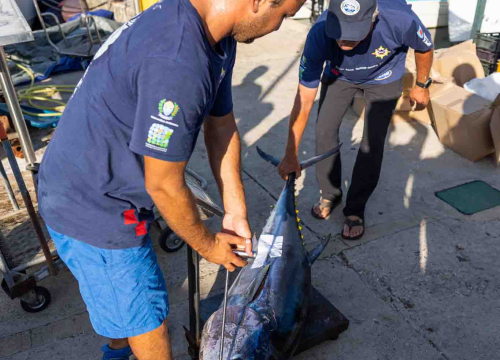 Fotografija 10 - Posjetite besplatnu radionicu o zaštiti ribe i očuvanju ribljeg fonda u Jezerima!