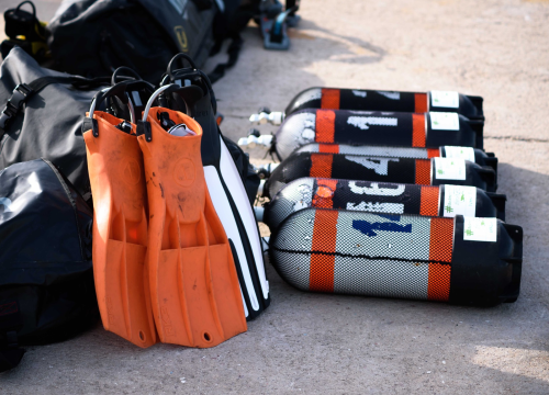 Fotografija 16 - Eko akcija: 150 ronioca će ovaj vikend izvući oko 10 tona smeća iz podmorja šibenske rive