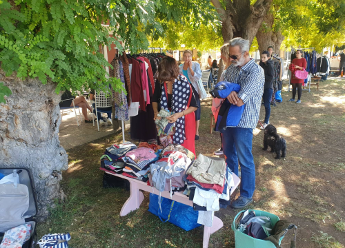 Fotografija 2 - Buvljak ispred Azimuta: Uključile se i Šibenske šape, prihod ide za liječenje nezbrinutih i bolesnih životinja
