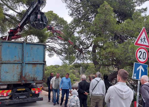 Fotografija 2 - Sve je prošlo lišo: Srušio se stari bor na Poratu u Primoštenu
