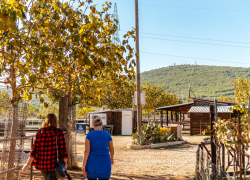 Fotografija 13 - Suzana je učionicu zamijenila farmom u Dubravi: 'Kriza ima, ali svoju odluku nikada nisam požalila'