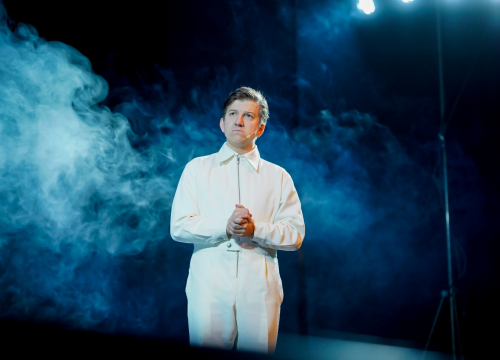 Fotografija 3 - Nezaustavljiva Drnišanka želi biti predsjednica, barem u novoj predstavi koja je oduševila gledatelje