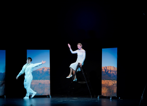 Fotografija 2 - Nezaustavljiva Drnišanka želi biti predsjednica, barem u novoj predstavi koja je oduševila gledatelje