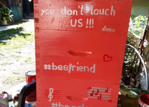 Fotografija 4 - Doda Pčelarica je, s puno ljubavi i volje, napravila malo pčelinje carstvo: Ispričala nam je sve o pčelama, medu, propolisu, peludu…