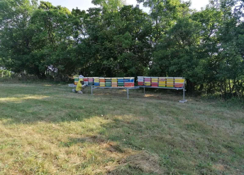 Fotografija 8 - Doda Pčelarica je, s puno ljubavi i volje, napravila malo pčelinje carstvo: Ispričala nam je sve o pčelama, medu, propolisu, peludu…