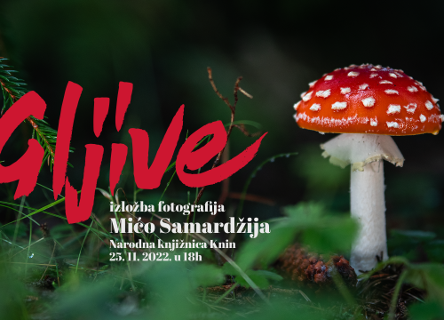 U kninskoj knjižnici izložba fotografija Miće Samardžije: 'Uronite u zanimljivi svijet gljiva'