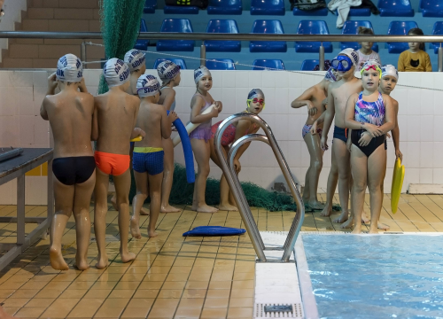 Fotografija 5 - Zajednica sportova grada Šibenika i Plivački klub "More" provede programa Integracije plivanja u redovnu nastavu