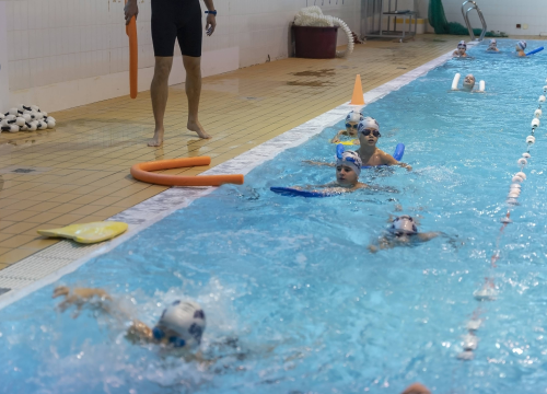 Fotografija 6 - Zajednica sportova grada Šibenika i Plivački klub "More" provede programa Integracije plivanja u redovnu nastavu