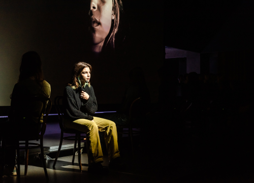 Fotografija 8 - Predstava 'Progovori' u Arsenu: 'Svjedočanstvima žena na drastičan način šaljemo poruku da treba reći stop nasilju'