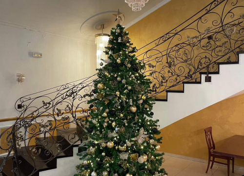 Fotografija 2 - Božićni domjenci i Dani bakalara u restoranu Atrium!