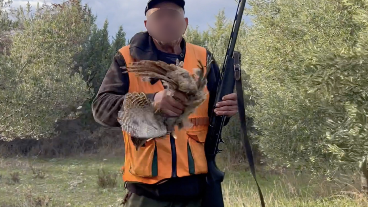 Lovci im zapucali iznad glava dok su brali masline u Donjem Polju: 'Jedan me čak i odgurnuo s puškom!'