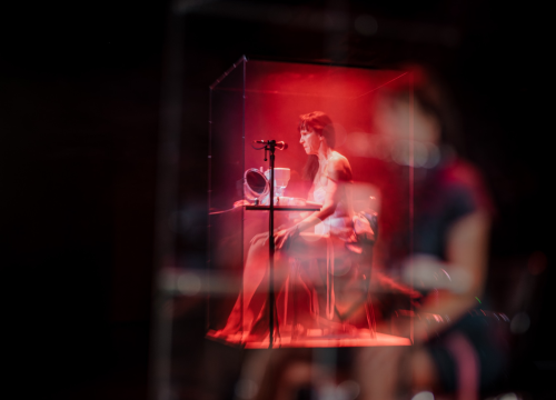 Fotografija 2 - 'Ljubavnice': Predstava Senke Bulić izazvala veliki interes Šibenčana