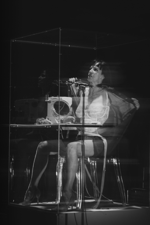 'Ljubavnice': Predstava Senke Bulić izazvala veliki interes Šibenčana