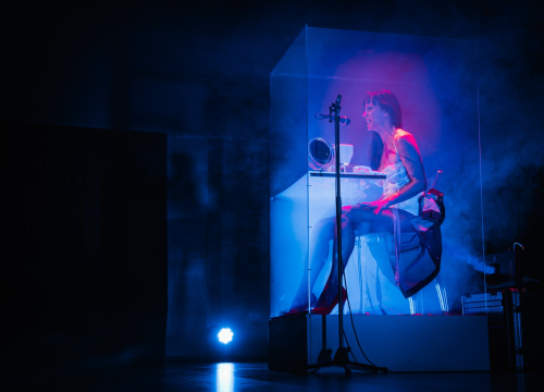 Fotografija 7 - 'Ljubavnice': Predstava Senke Bulić izazvala veliki interes Šibenčana