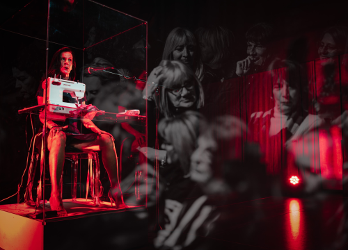 Fotografija 8 - 'Ljubavnice': Predstava Senke Bulić izazvala veliki interes Šibenčana