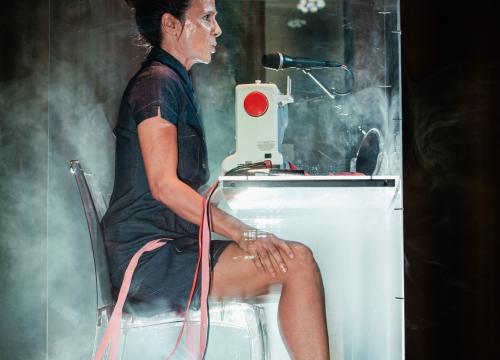 Fotografija 11 - 'Ljubavnice': Predstava Senke Bulić izazvala veliki interes Šibenčana