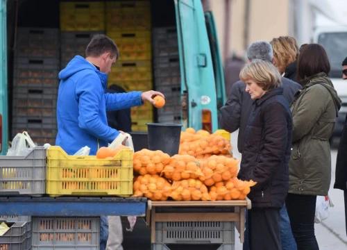 U Hrvatskoj katastrofalno pala proizvodnja voća