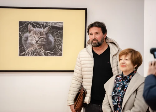 Fotografija 2 - U knjižnici otvorena izložba koju ljubitelji mačaka ne smiju propustiti