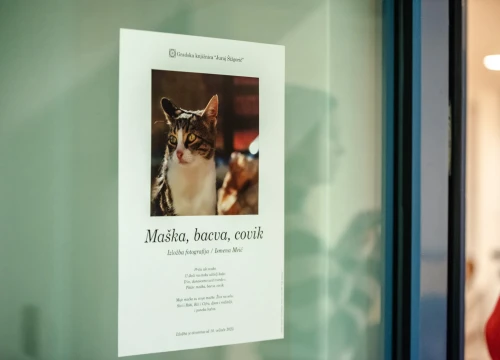 Fotografija 3 - U knjižnici otvorena izložba koju ljubitelji mačaka ne smiju propustiti