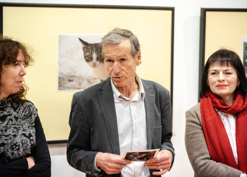 U knjižnici otvorena izložba koju ljubitelji mačaka ne smiju propustiti