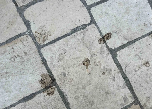 Fotografija 8 - Šibenik njeguje tradiciju, barem onu srednjovjekovnu prljavih ulica!