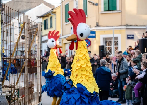 Fotografija 30 - Murterini molili za predbračnu čistoću, u kokošinjcu izbila pobuna, a Let 3 napravio spektakl