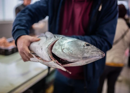 Fotografija 16 - Jutros se na šibenskoj pijaci jasno vidjelo da je petak: Peškarija puna, na zelenom dijelu pustoš