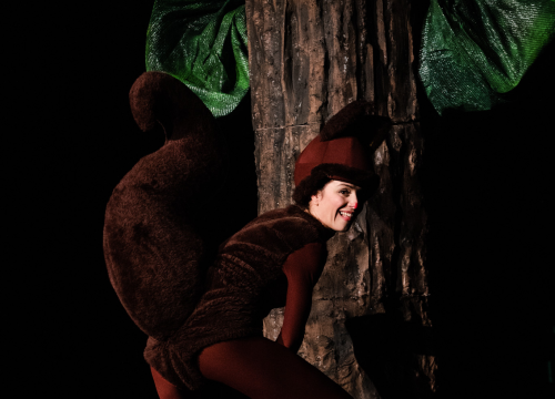 Fotografija 3 - Šibensko kazalište ima novu predstavu za djecu: 'Ovo je nastavak avantura zeke i vjeverice'