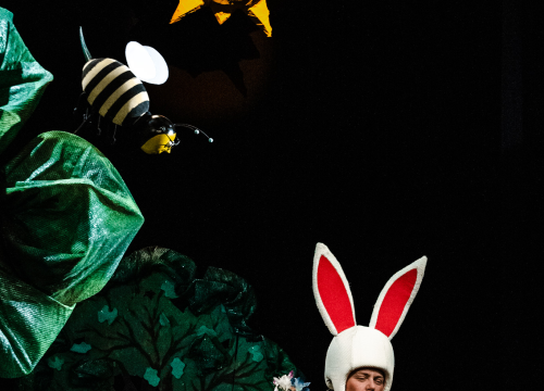 Fotografija 6 - Šibensko kazalište ima novu predstavu za djecu: 'Ovo je nastavak avantura zeke i vjeverice'