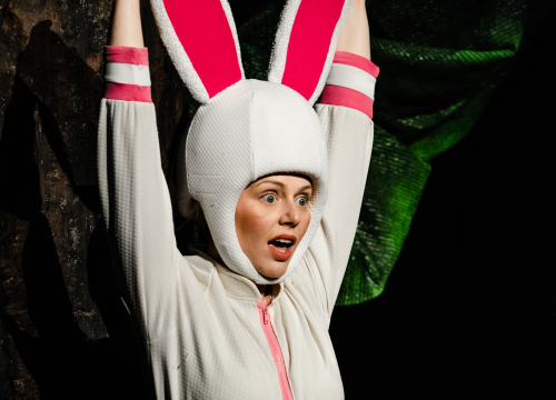 Fotografija 7 - Šibensko kazalište ima novu predstavu za djecu: 'Ovo je nastavak avantura zeke i vjeverice'