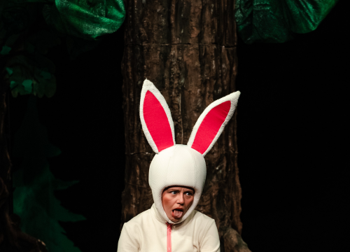 Fotografija 11 - Šibensko kazalište ima novu predstavu za djecu: 'Ovo je nastavak avantura zeke i vjeverice'