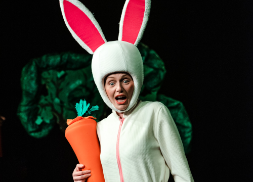 Fotografija 12 - Šibensko kazalište ima novu predstavu za djecu: 'Ovo je nastavak avantura zeke i vjeverice'