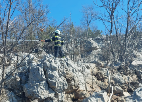 Požar iznad Primoštena gasila 22 vatrogasca, opožareno 15 hektara